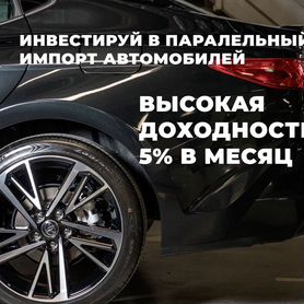 Доход 5% в месяц: Быстрые выплаты с Удалтон