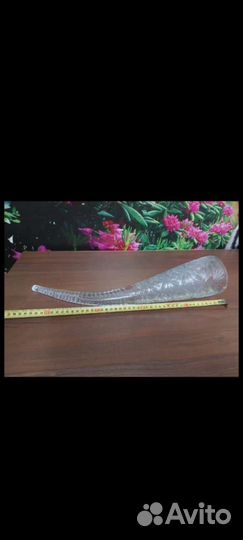 Хрустальный рог