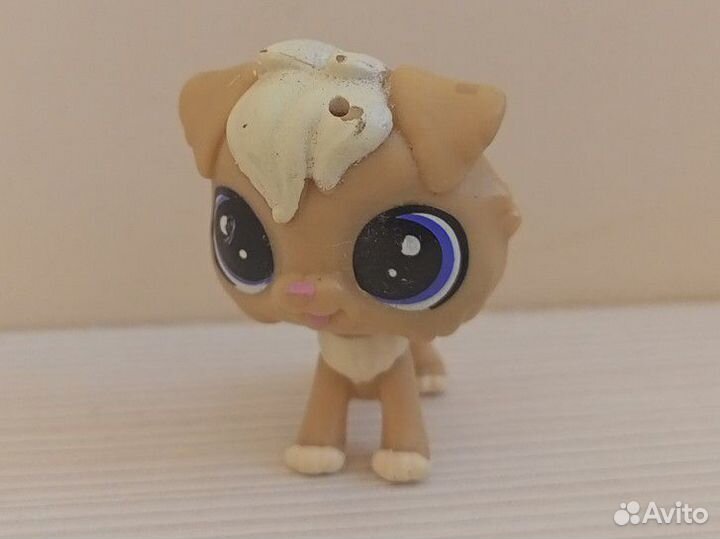 Littlest Pet Shop