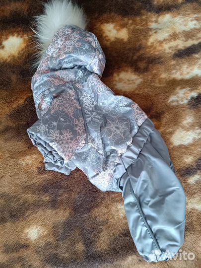 Зимний комбинезон для собак мелких пород