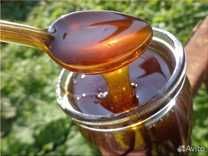 Мёд Липовый Донник Цветочный оптом от 100 кг