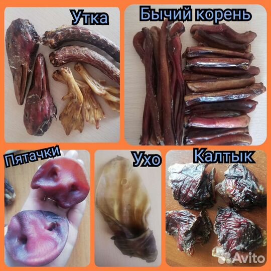 Сушеные лакомства для собак и кошек