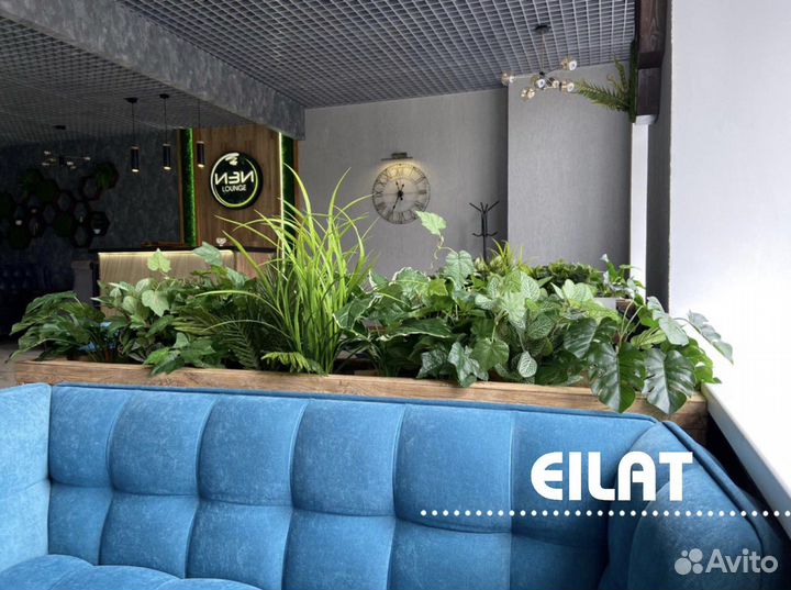 Растения и Цветы Фитомодули и Композиции