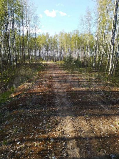 Участок 20 сот. (ИЖС)