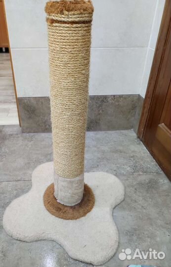 Когтеточка