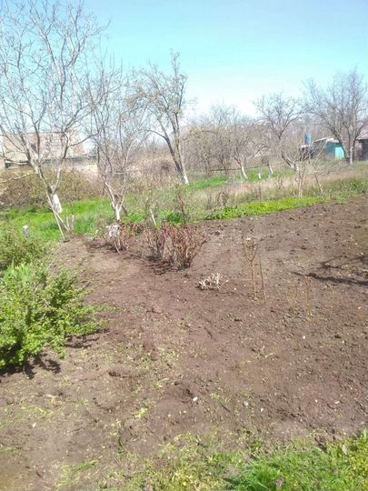 Участок 5 сот. (СНТ, ДНП)