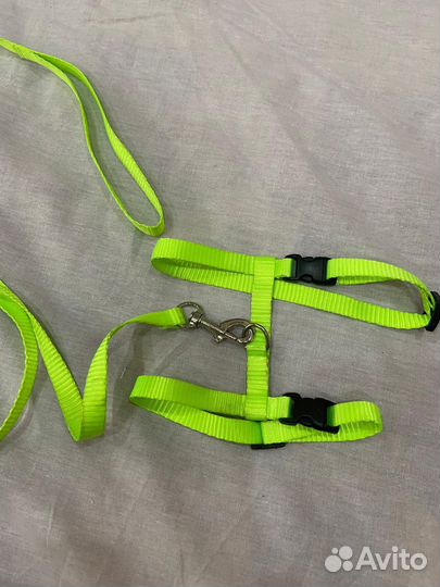 Шлейка для котенка