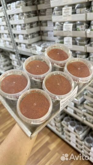 Специи и приправы оптом - более 50 видов