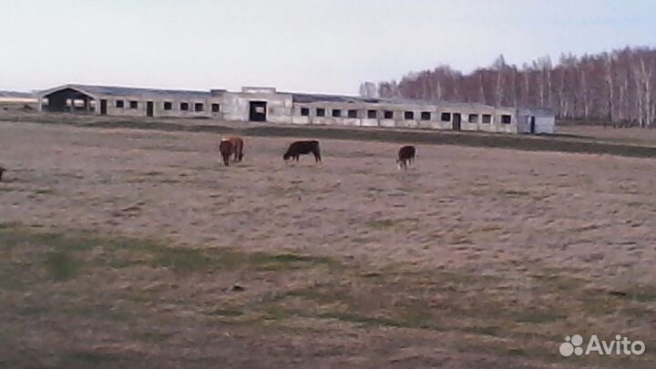 Ферма из жби на разбор