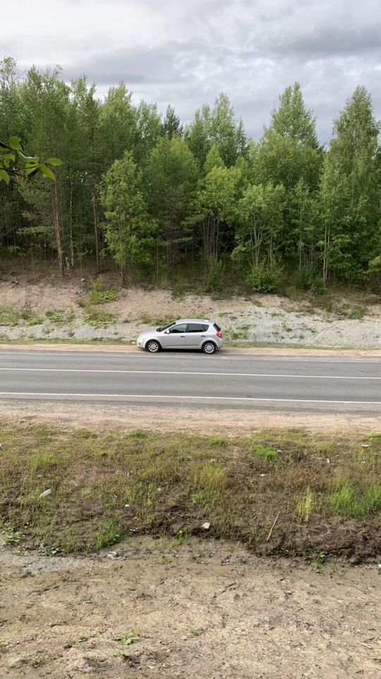 Kia Ceed: фото владельца