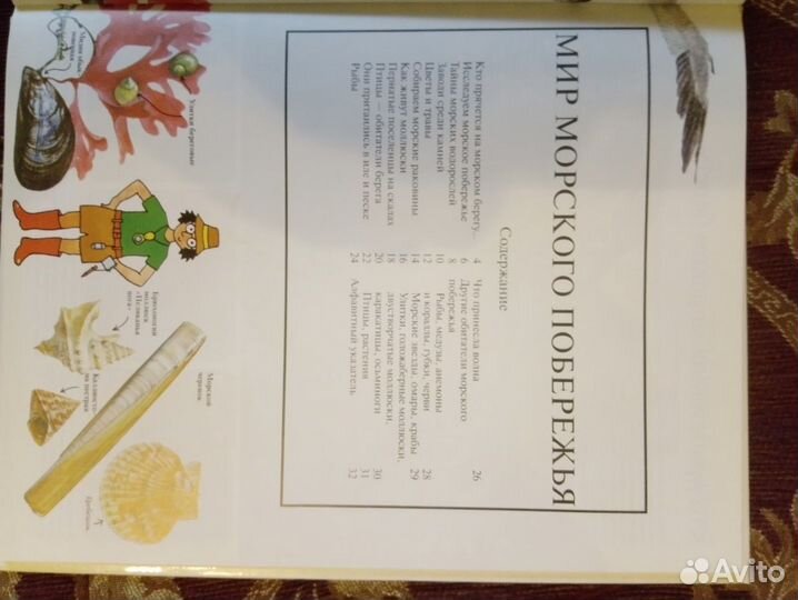 Продаю интереснейшую книгу формата А4