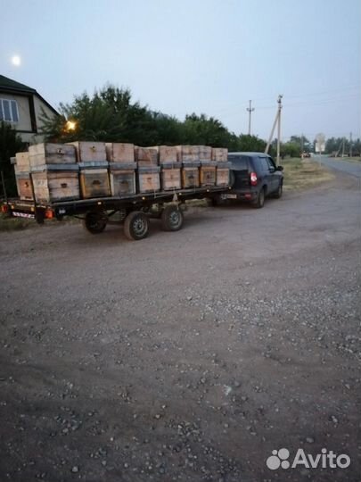 Прицеп для перевозки пчел