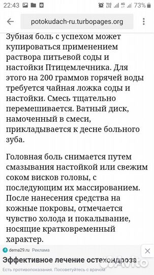 Индийский лук