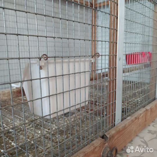 Большая клетка для птиц