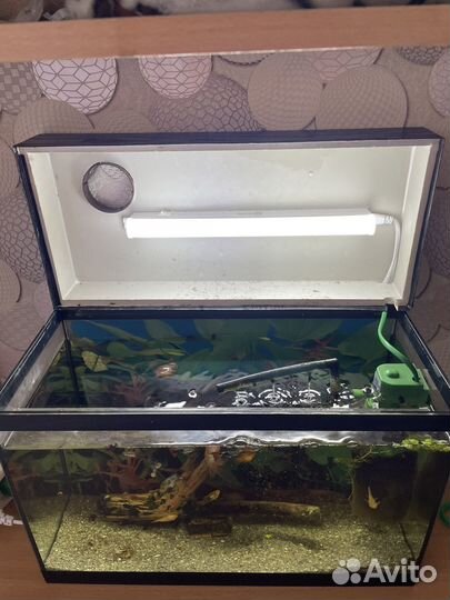 Аквариум 20 литров