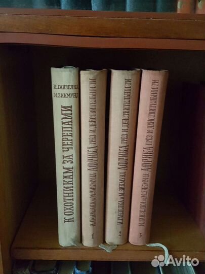 Ганзелка И., Зикмунд М