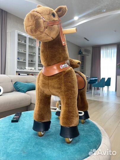 Лошадь поницикл