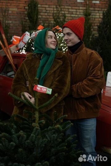 Новогодняя Ёлка Премиум и Живые Елки в наличии