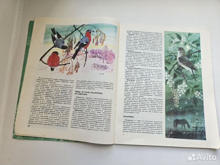 Детские книги СССР о природе