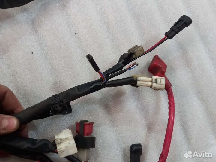 Проводка, коса Yamaha YZF R1 04-06