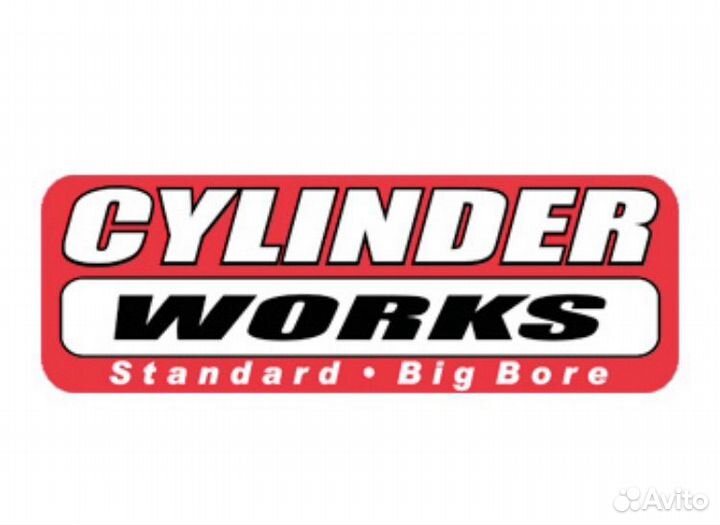 60001 Цилиндры Works для Polaris RZR XP 900