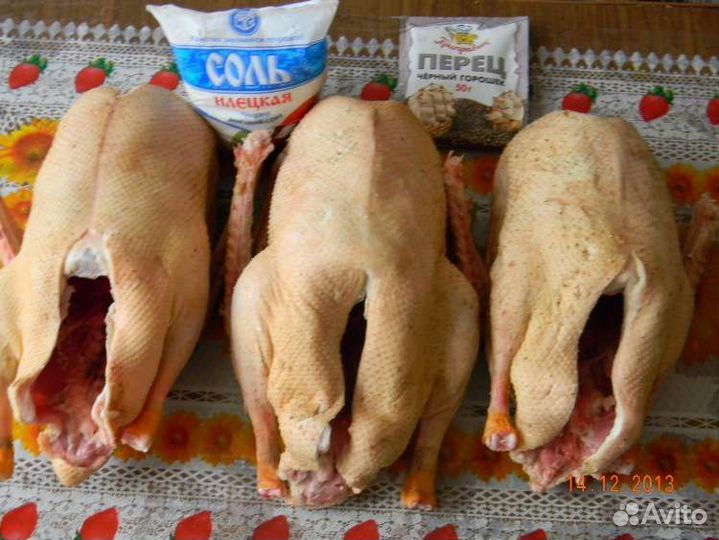 Утка домашняя мясо