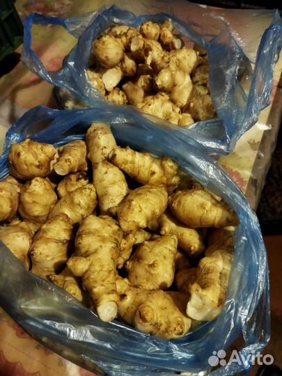 Топинамбур клубни