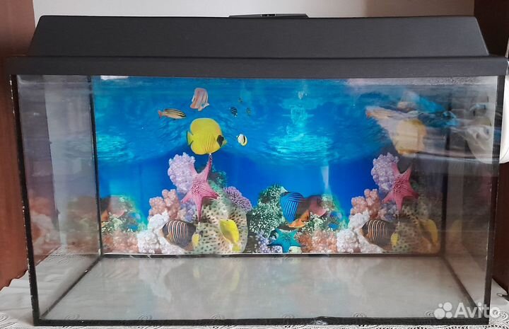 Аквариум на 80 литров