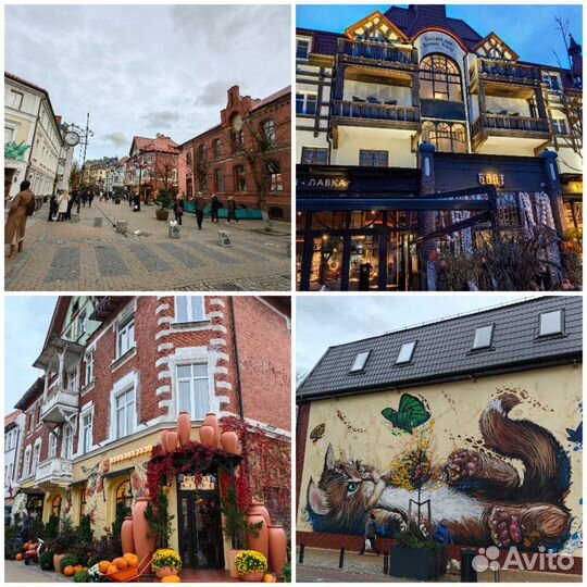 Экскурсия на Куршскую косу. Побережье