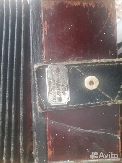 Баяны Тульские