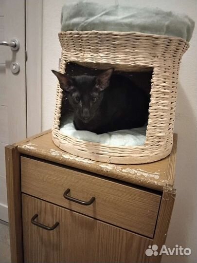 Домик плетеный