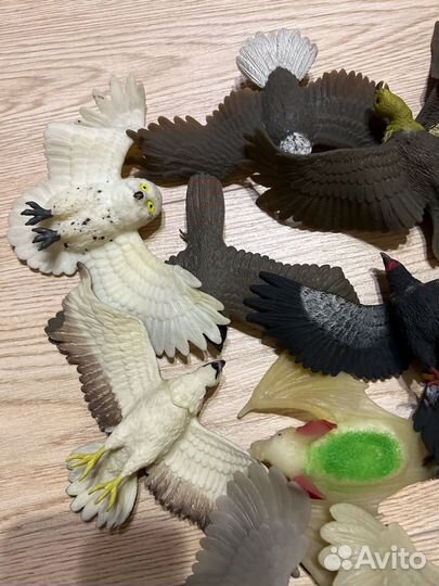 Резиновые птицы: грифы, совы, ястребы