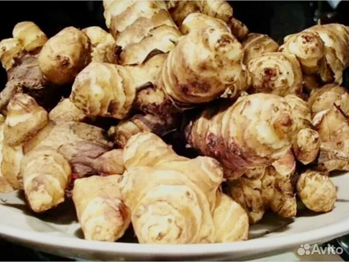 Топинамбур,клубни