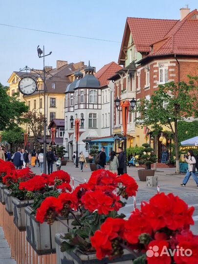 Куршская коса, Зеленоградск, замок Шаакен, сыровар