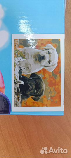 Картины по номерам 22х30