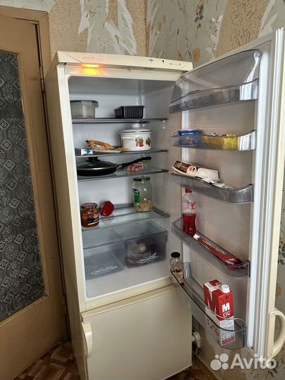 Холодильник snaige