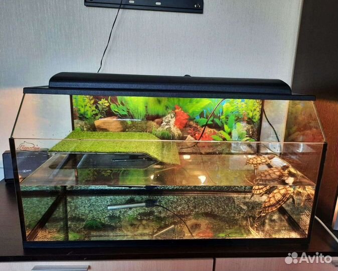 Террариумы для взрослых черепах