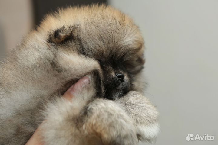 Девочка super