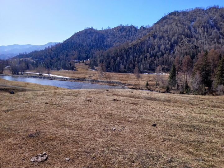 Участок 10 сот. (ИЖС)