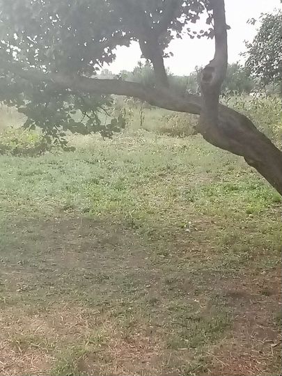 Дом 76 м² на участке 28 сот.