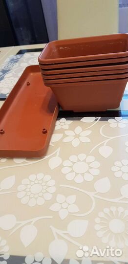 Контейнер для рассады или домашнего огорода