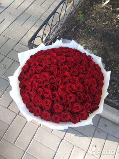 Роза 101 штука Доставка