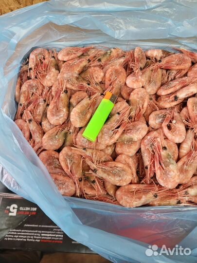 Креветка северная 90