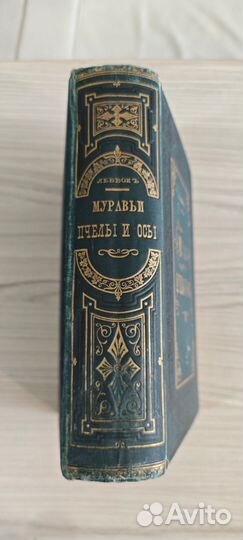 Книга Муравьи, пчелы и осы 1884 г