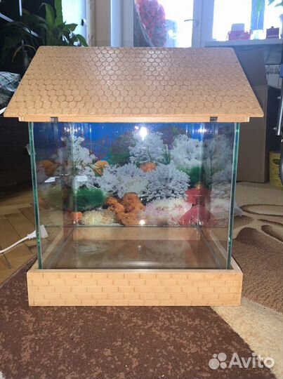 Аквариум