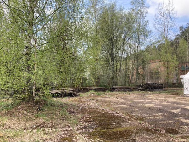 Здание, 3767 м²