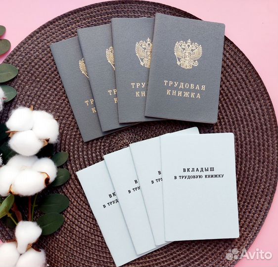 Трудовая книжка ТК 4 вкладыш 2003 оригинал