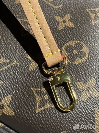 Louis vuitton mini pochette