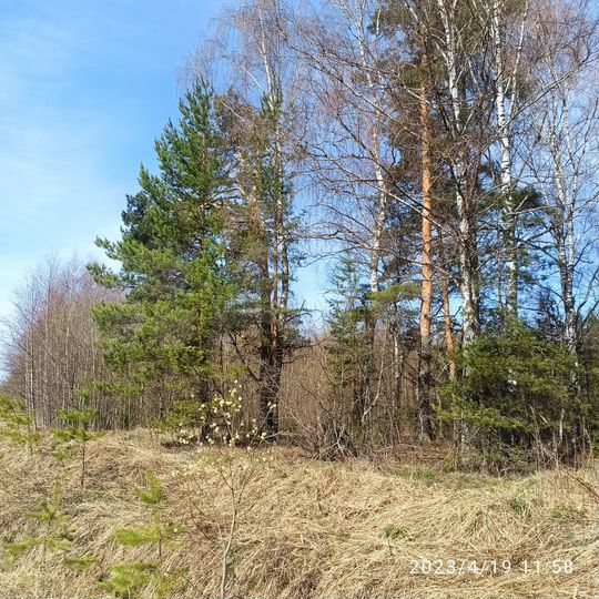 Участок 7 сот. (ИЖС)