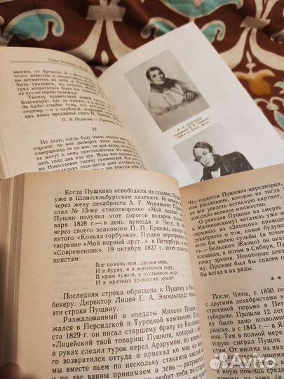 Друзья Пушкина. Переписка Воспоминания Дневники